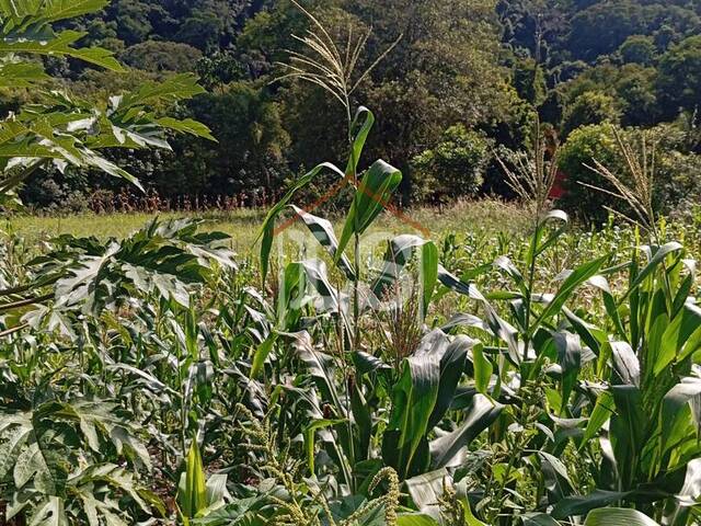  em  - 