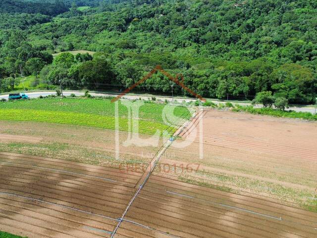#279 - Área para Venda em Ibiúna - SP